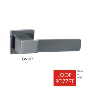 JOOP ROZZET-SNCP