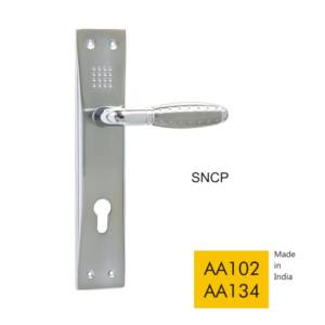 AA102 AA134 - SNCP