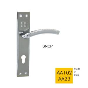 AA102 AA23 - SNCP